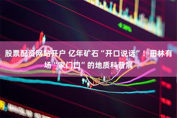 股票配资网站开户 亿年矿石“开口说话”！田林有场“家门口”的地质科普展