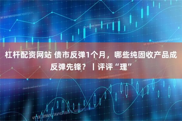 杠杆配资网站 债市反弹1个月，哪些纯固收产品成反弹先锋？丨评评“理”